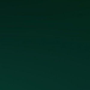 Meet your Posher, Ava